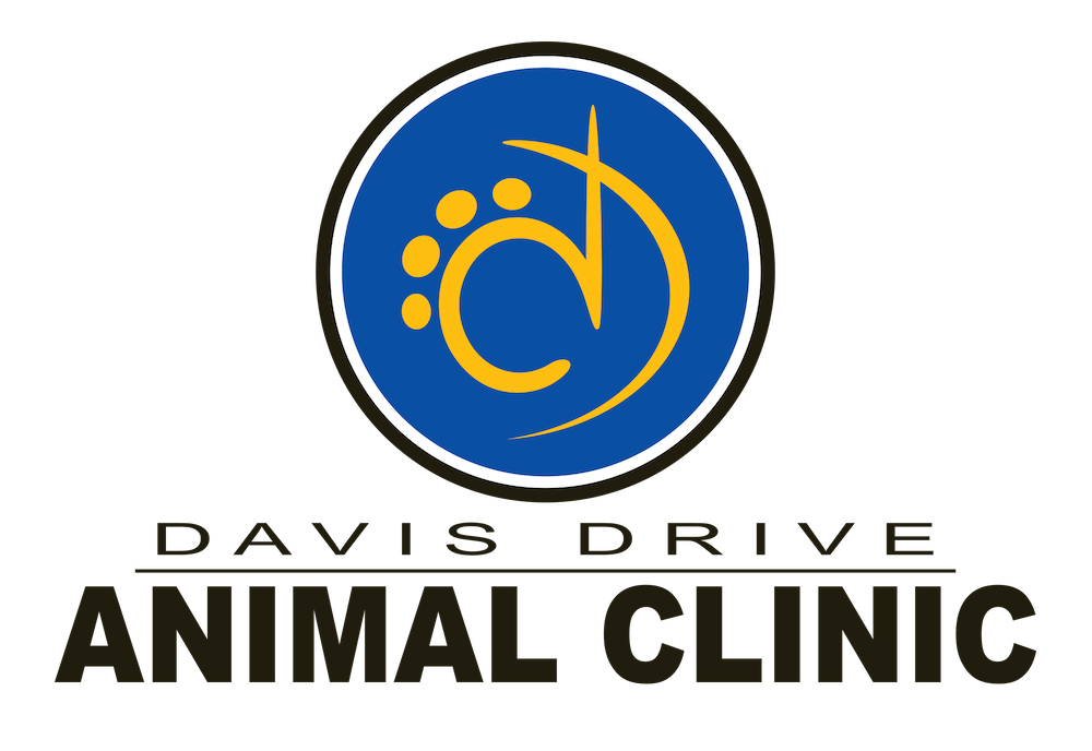 Where Your Pet is FamilyAnimal ClinicNewmarket, ONL3Y 2R6