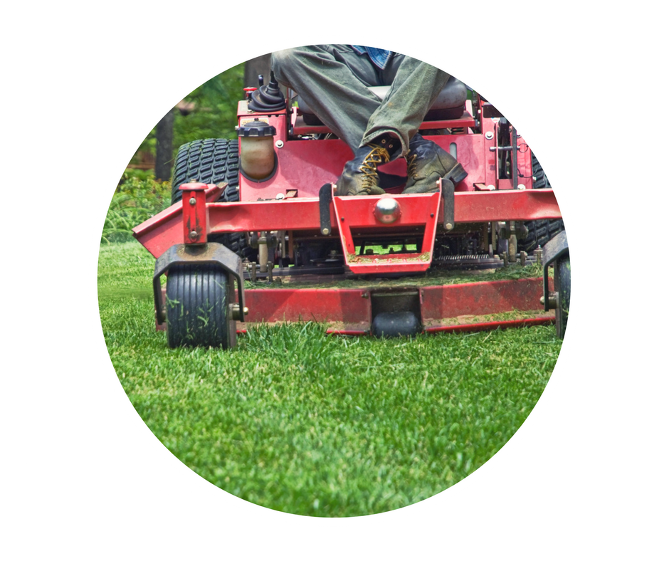 Davis Lawn Care Services Thomasville's Best Lawncare Service