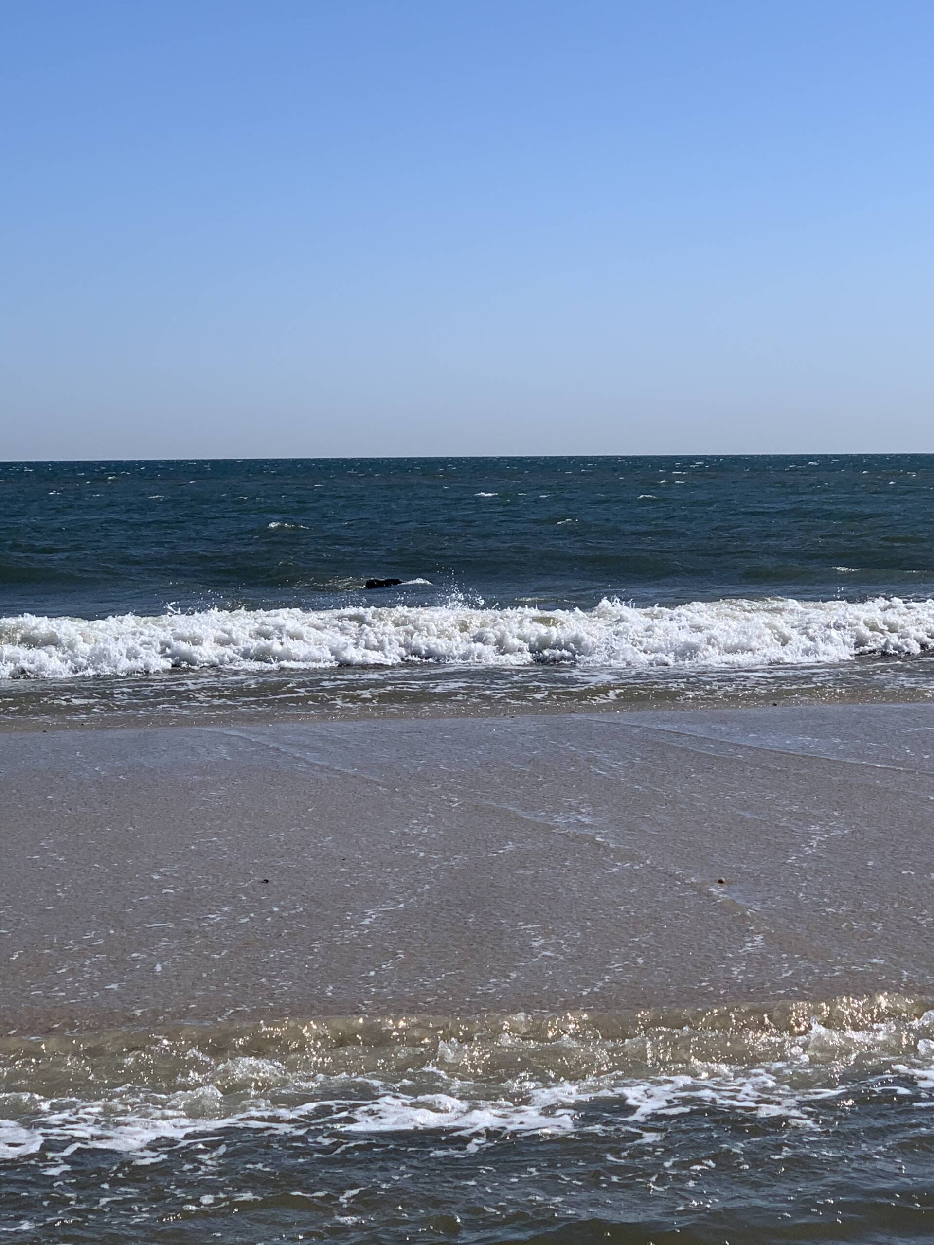 Explore Gluckauf Shipwreck Davis Park Rental House