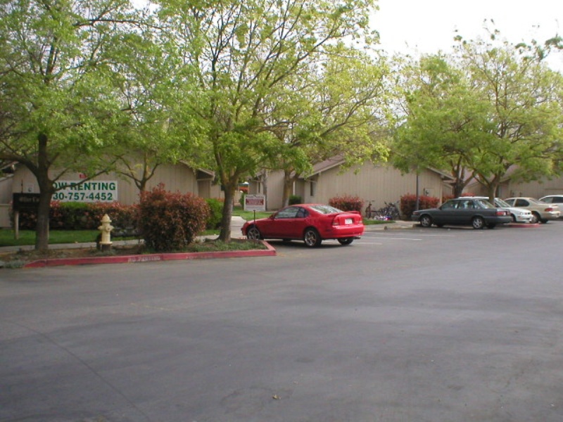 Olive Court Davis LocalWiki