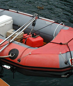 Removable Davits