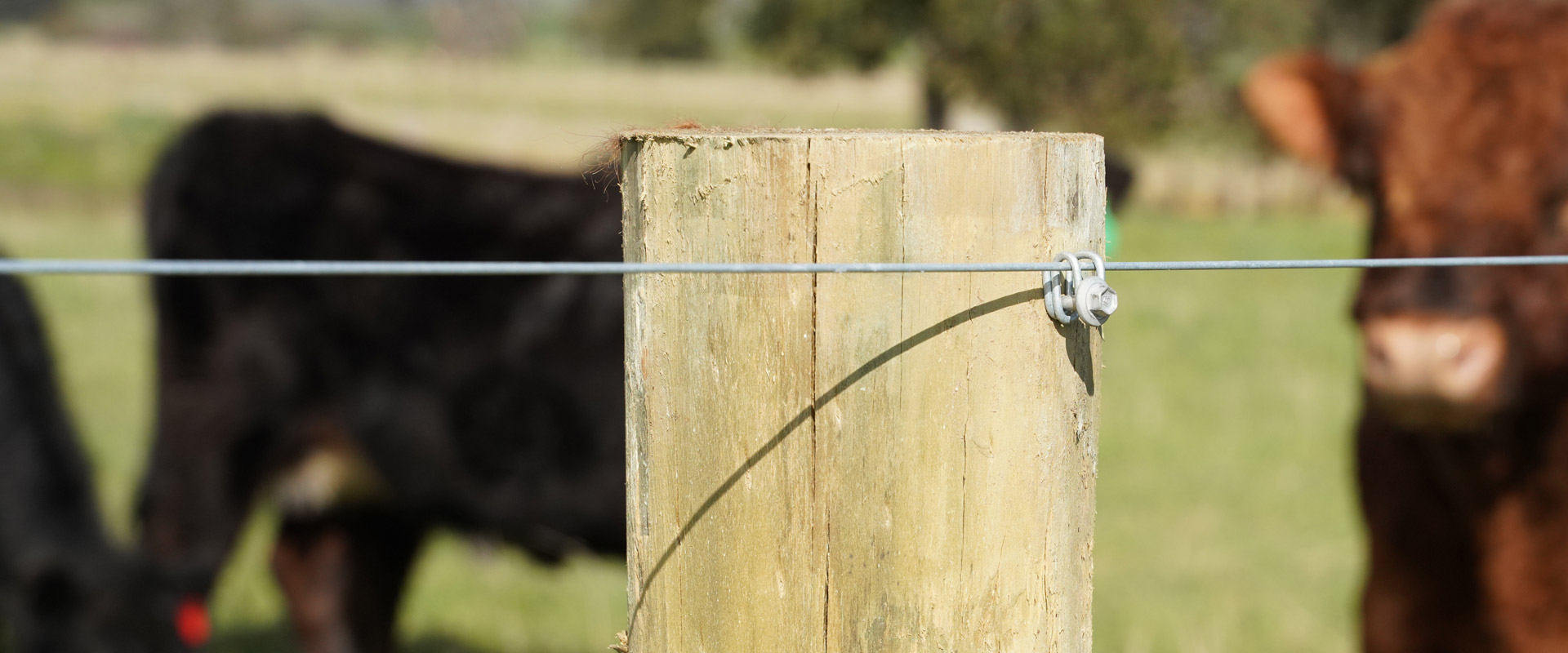 Davo's Fencing Clip Davo's Fencing Clip
