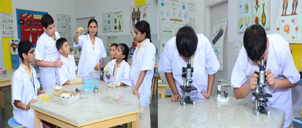 science dav school