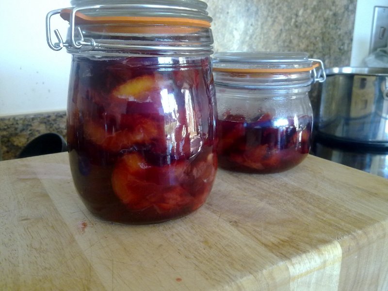 Plums bottled in Syrup Dav's bit o the web