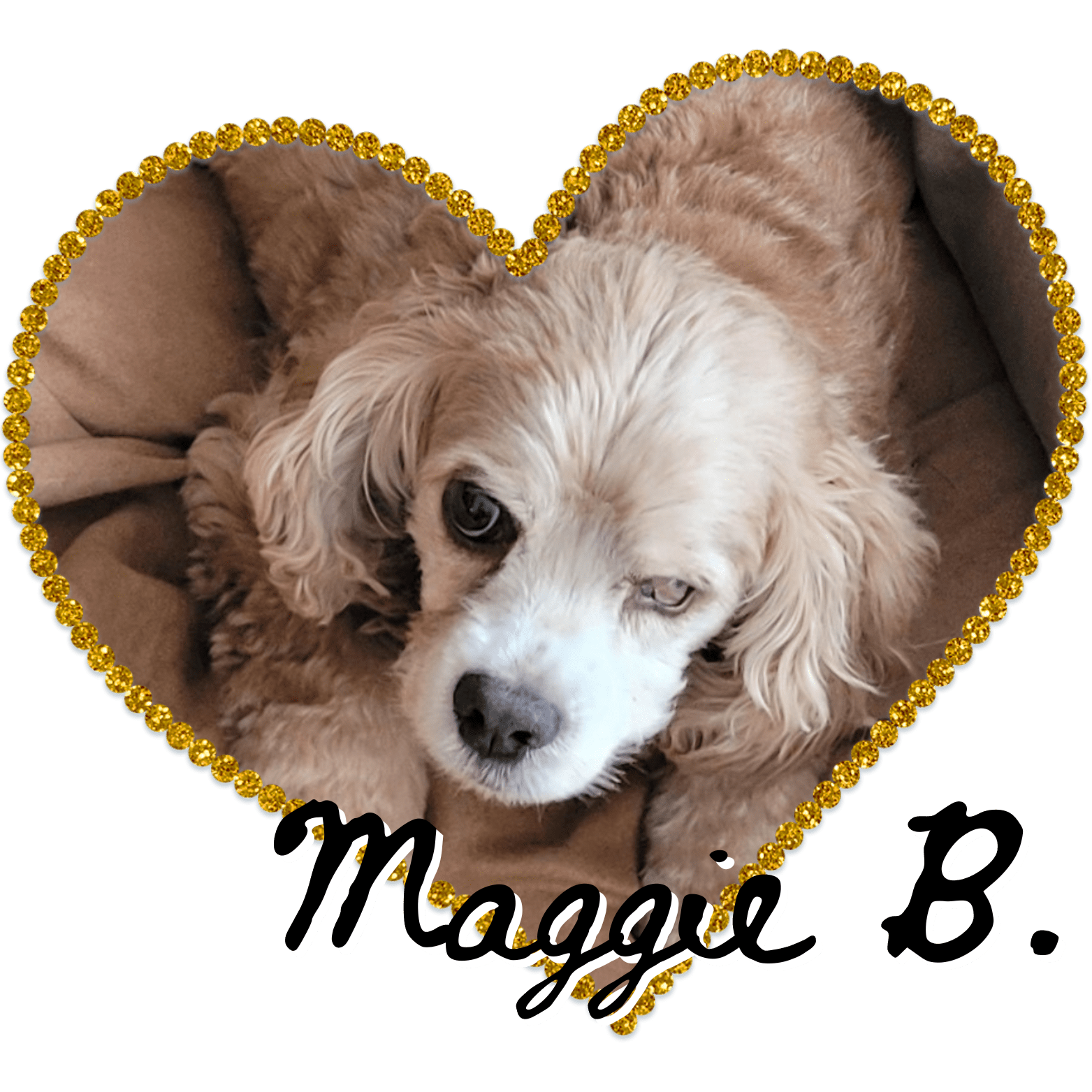 Rainbow Bridge Dawgs In Motion