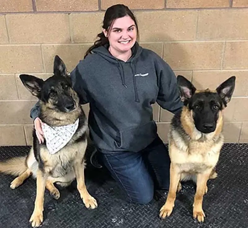 Dog Training Near Me In Saukville WI Dawgs In Motion