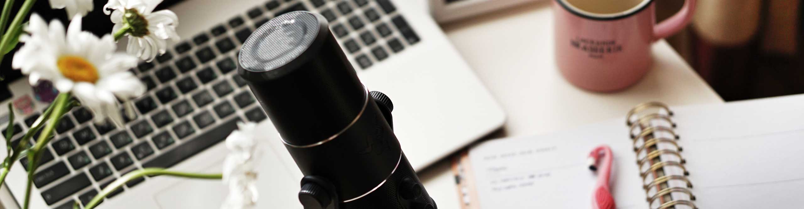 Podcasts & Interviews Dawn Kohler