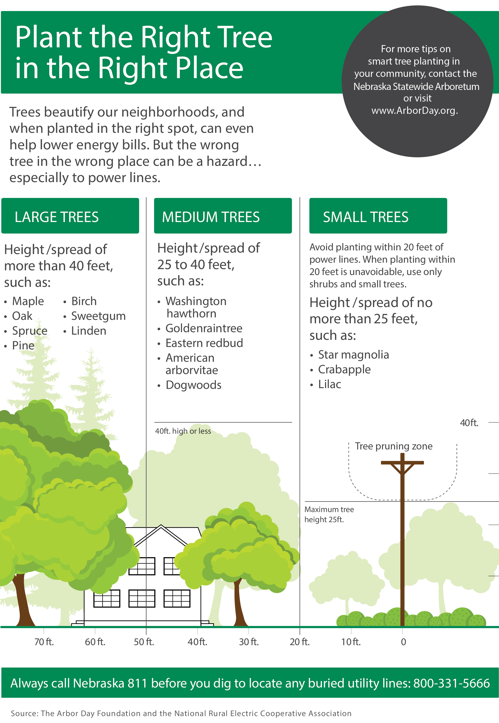 Dawson Public Power District » Plant the right tree in the right place