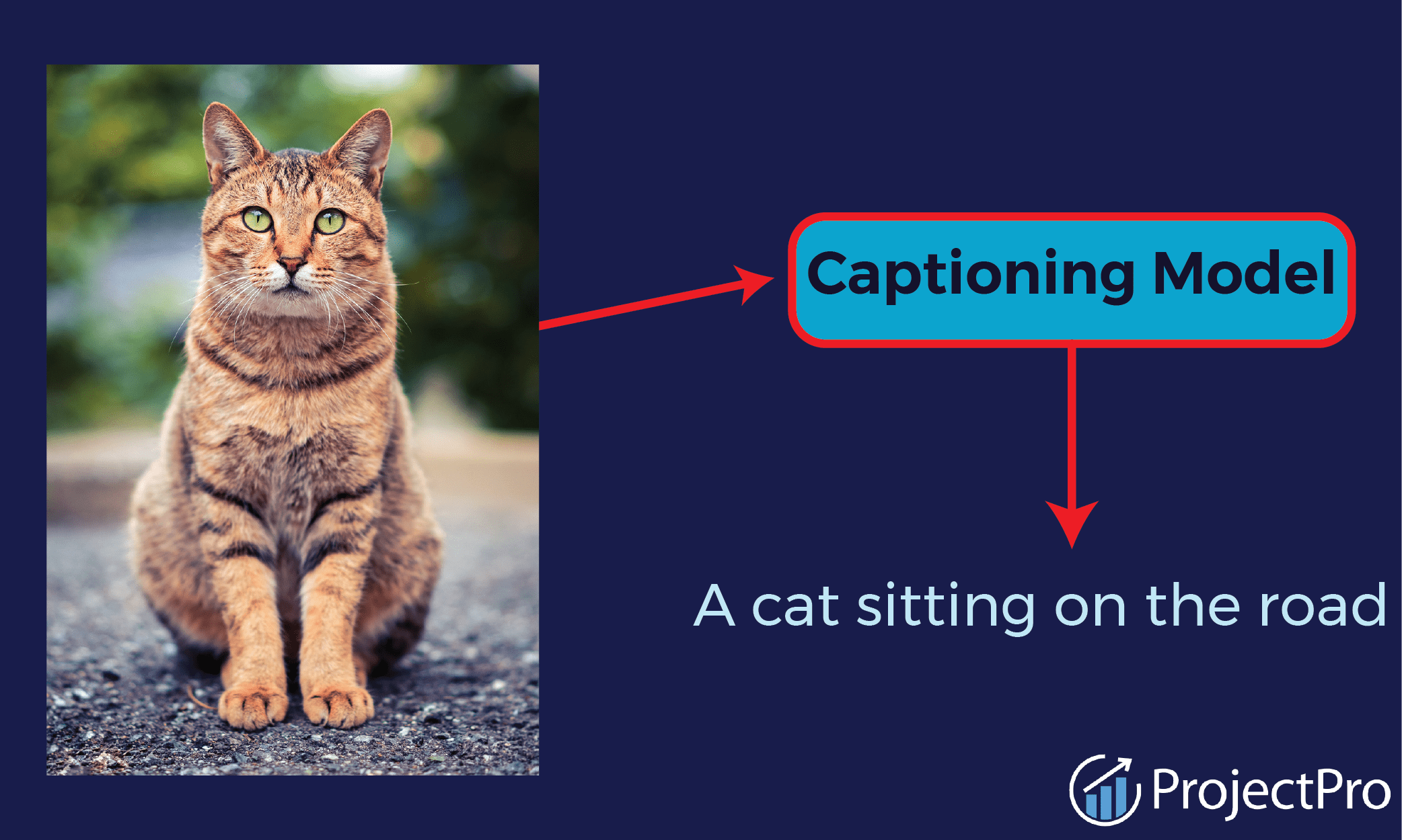 Top 3 Image Captioning Deep Learning Project Ideas for Practice