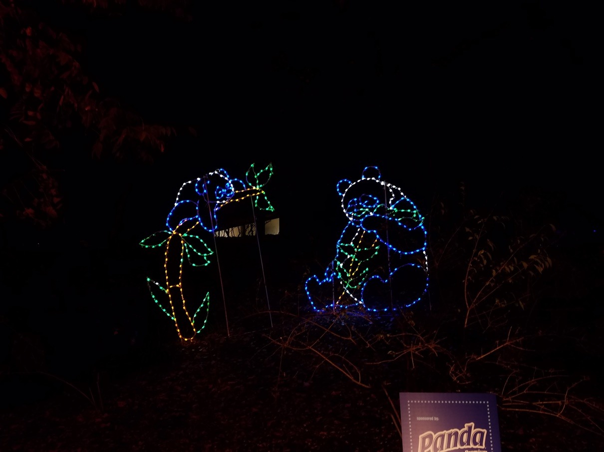 ZooLights Holiday Lights at the National Zoo Daycation DC