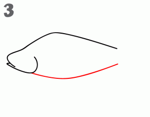 как нарисовать рыбы в воде