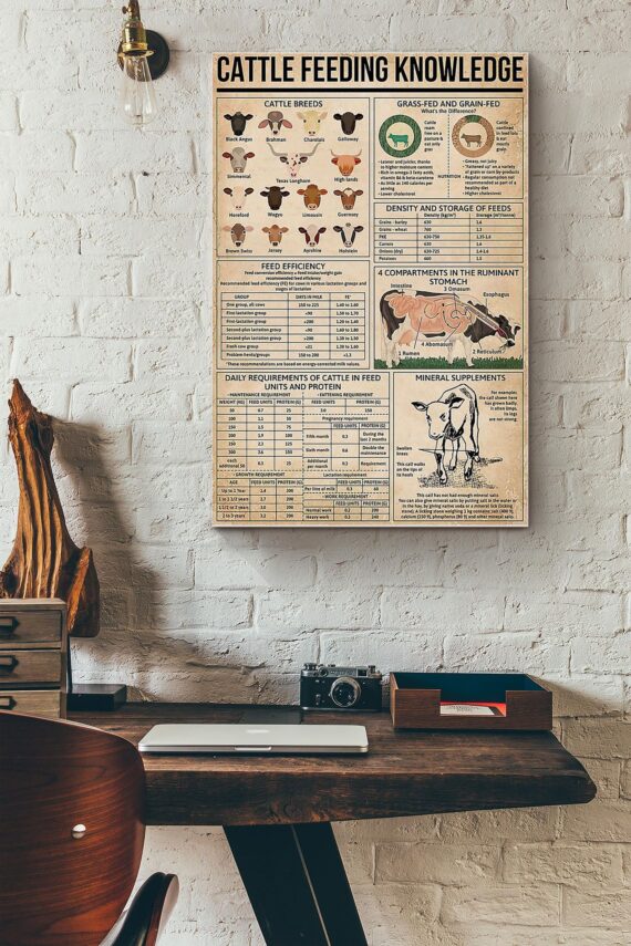 Cattle Feeding Knowledge Things You Need To Know About Cattle Feeding