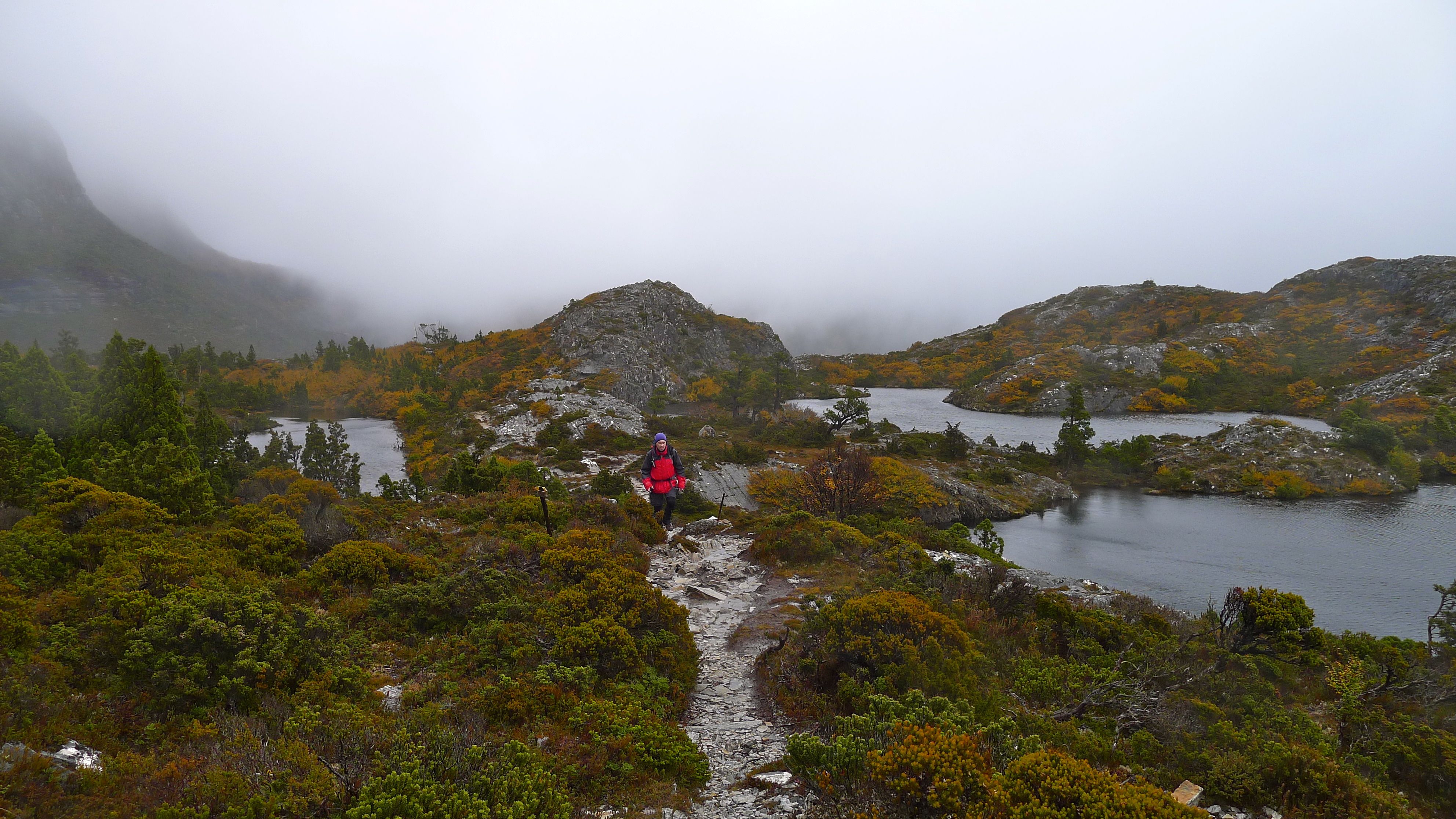 Cradle Mountain Lake St Clair National Park Dayna's Blog