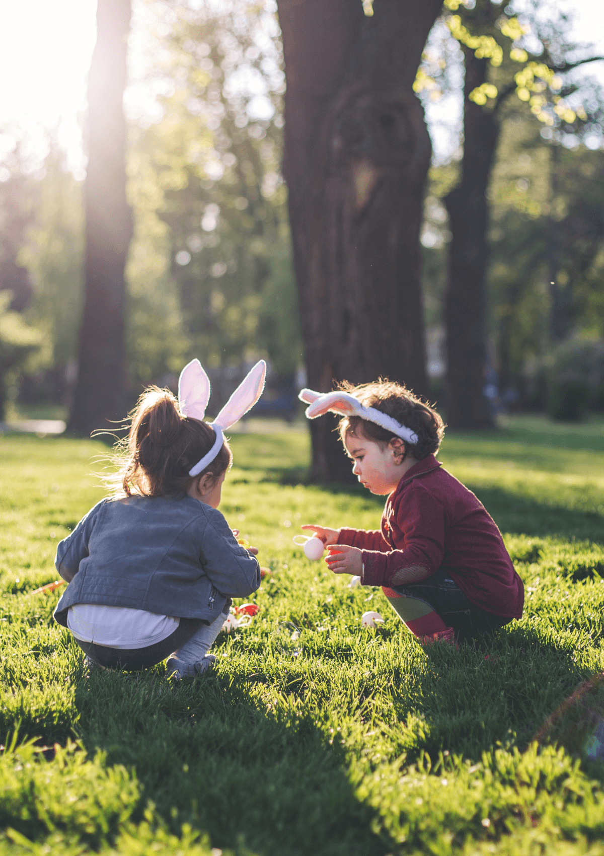 10 Best Days Out in April in England for 2023 Day Out in England