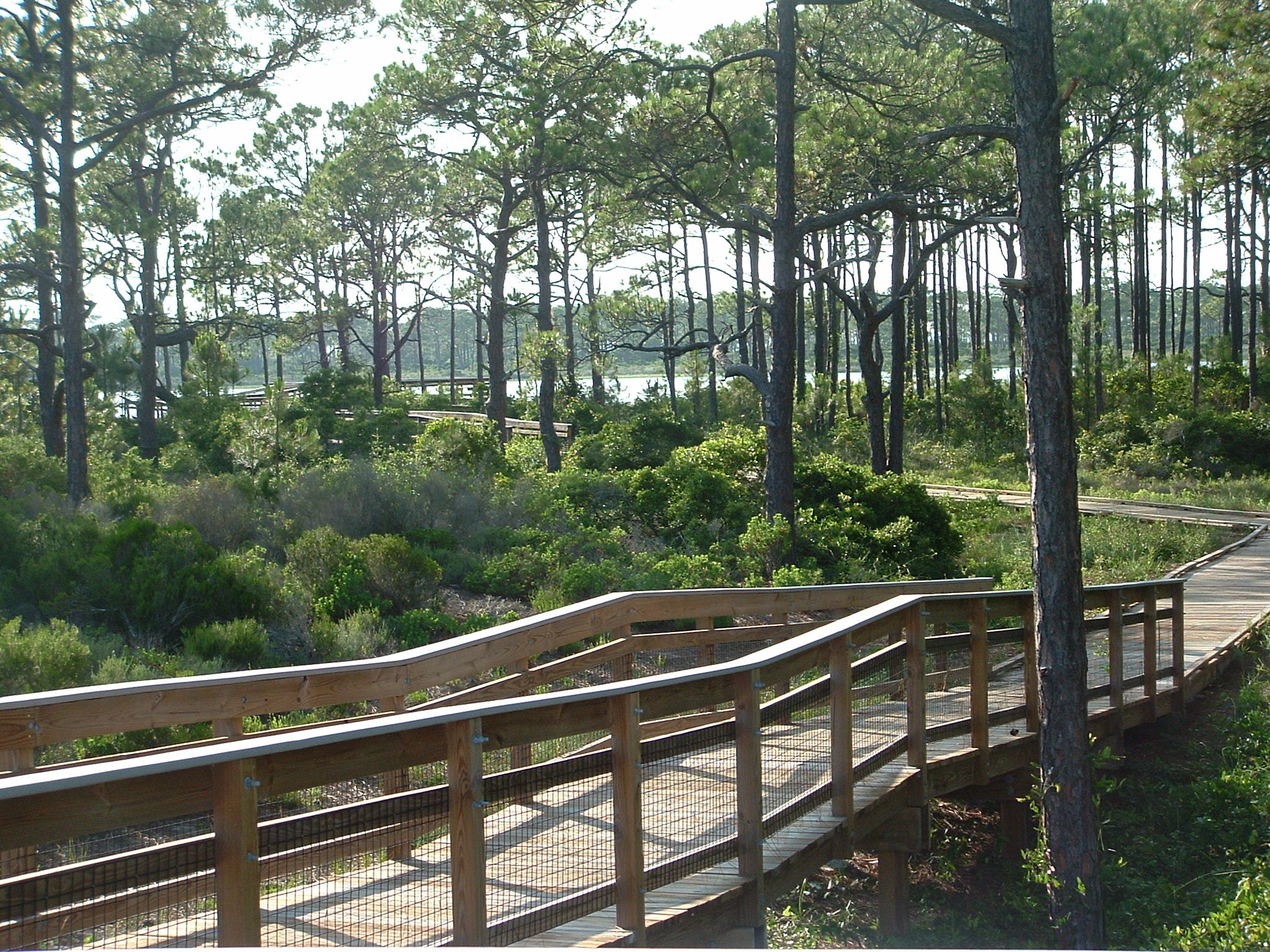 St. Andrews State Park Days Inn Panama City Beach Florida