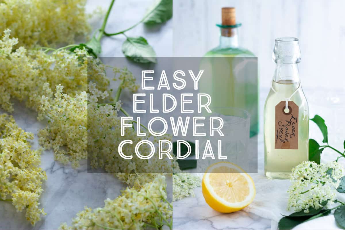 Elderflower Cordial Recipe Without Sugar Dandk Organizer