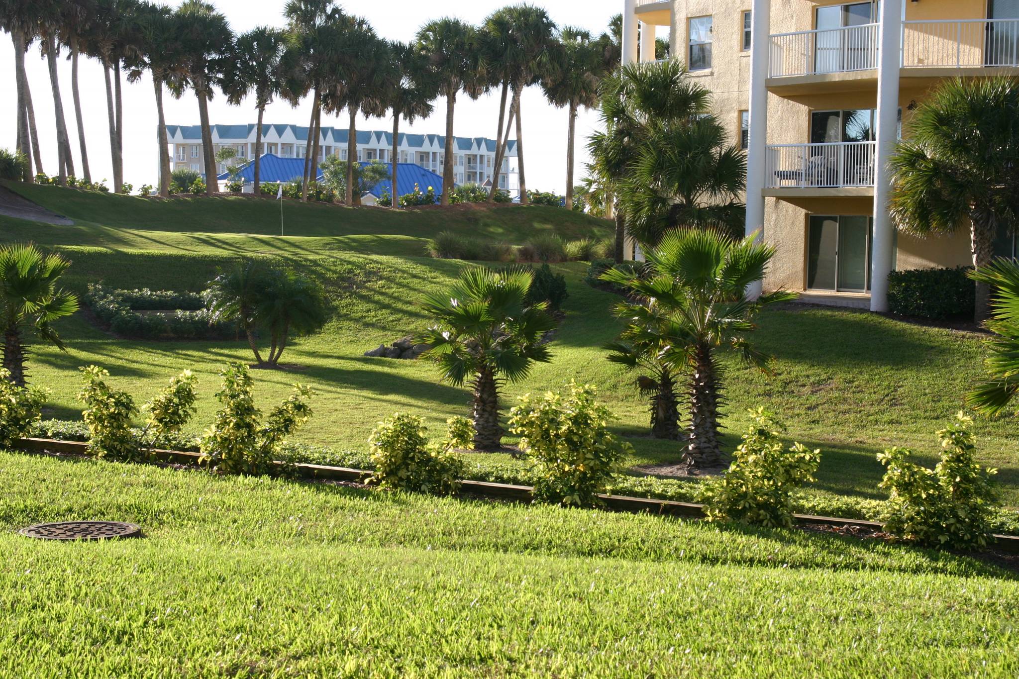 View Daytona Condos
