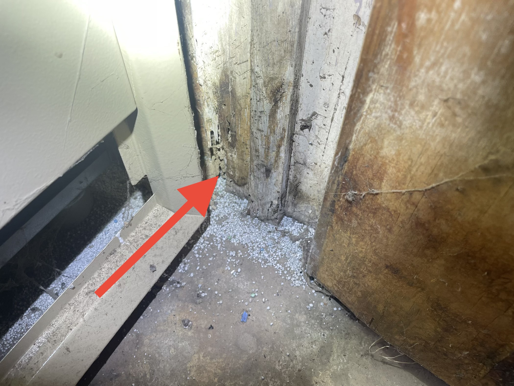 Termite Control Dayton, OH EcoPro Termite & Pest