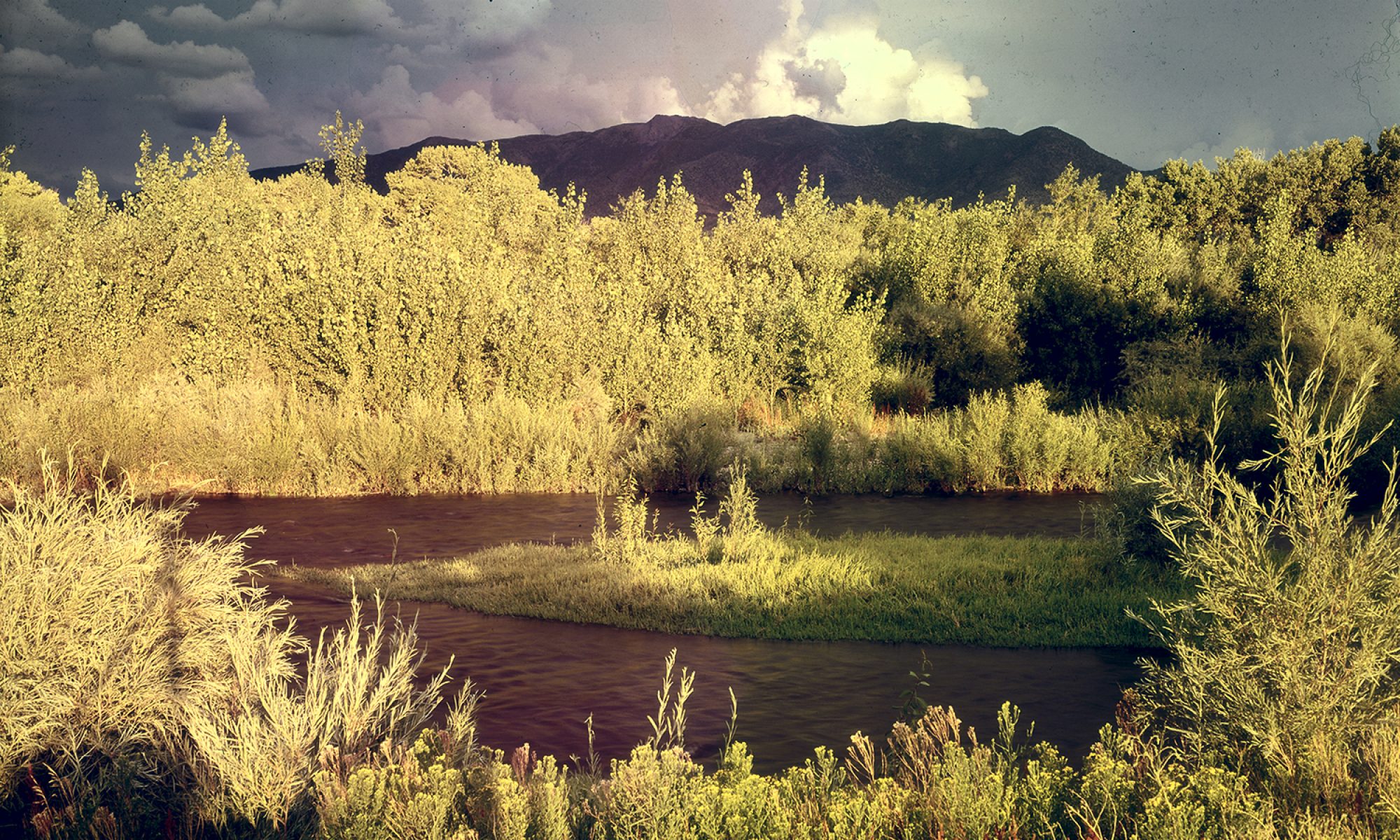 News Dayton Valley Dispatch