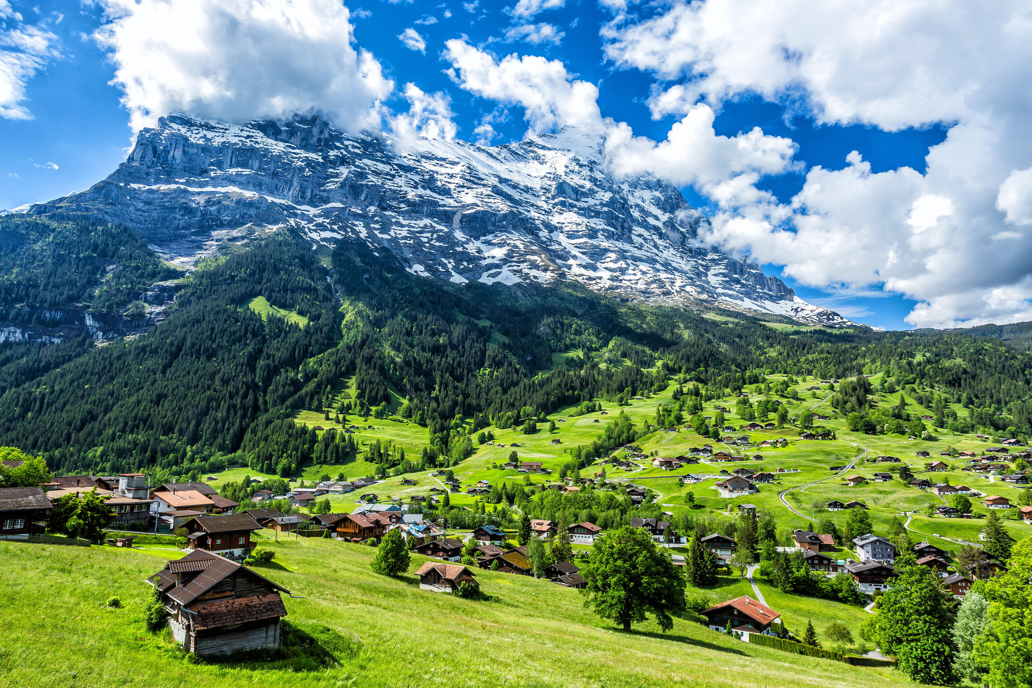 Geneva to Grindelwald from €87 Private Car Transfer in 3 Hours Daytrip