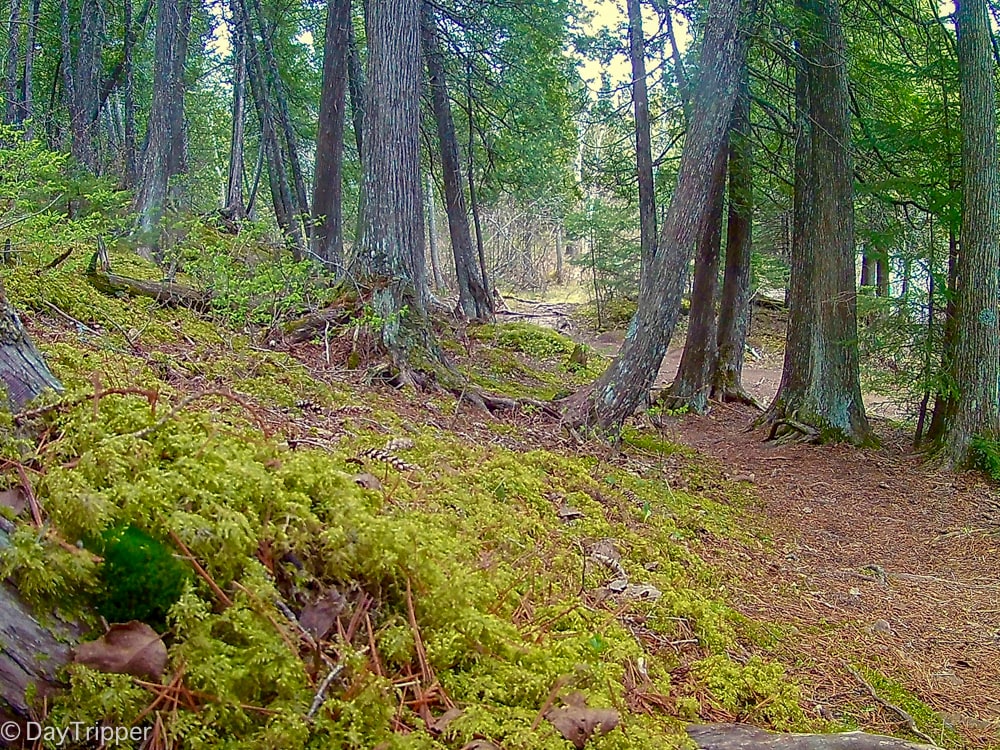 Gooseberry Falls Hiking to Fifth Falls Is It Worth It? DayTripper