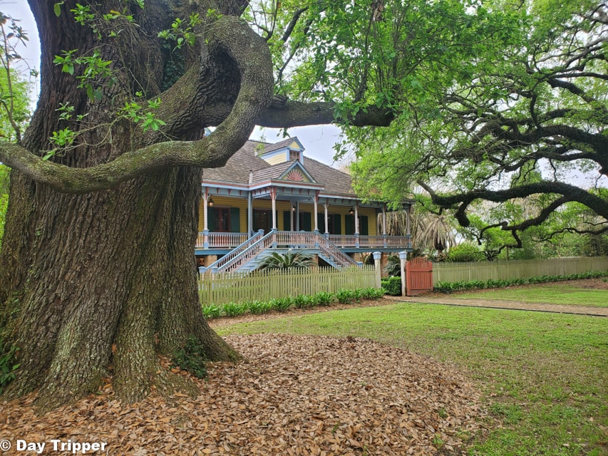 How to enjoy the Laura Plantation tour with family and friends