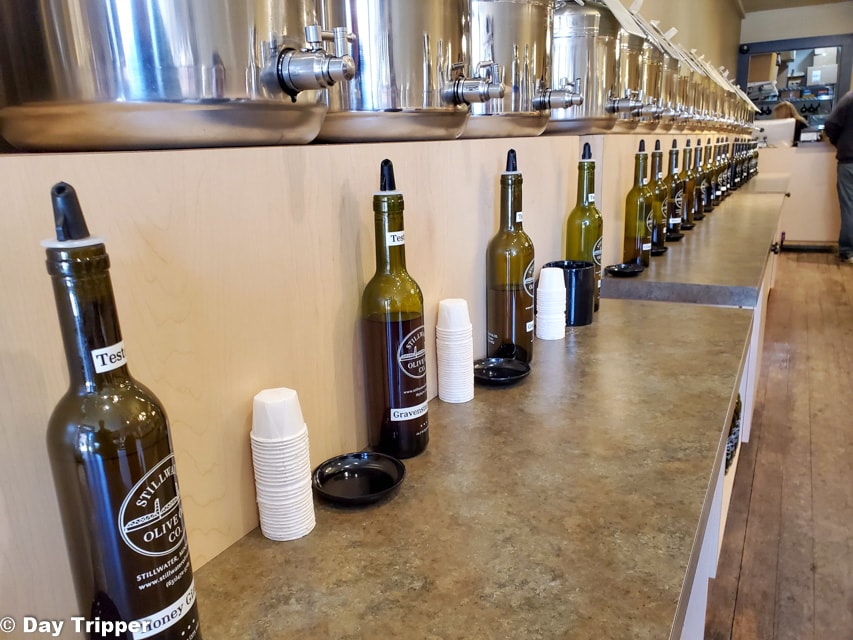 39 Fun Things To Do in Stillwater Minnesota