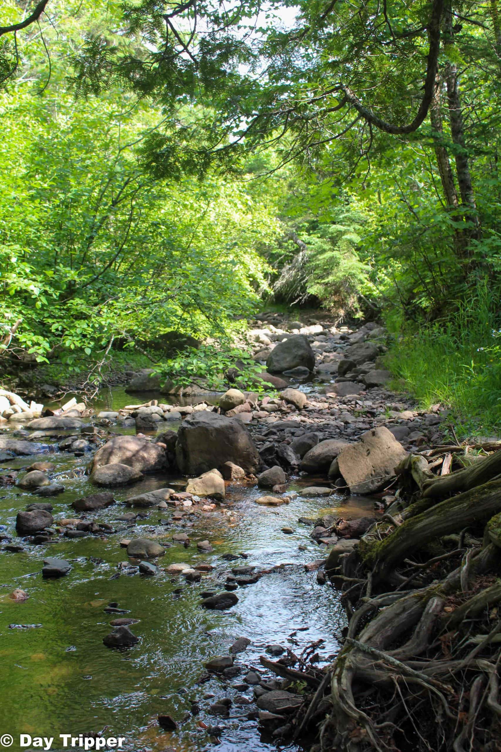 River Hiking Trails Near Me Hike Cascade River State Park North Shore Hiking at its best
