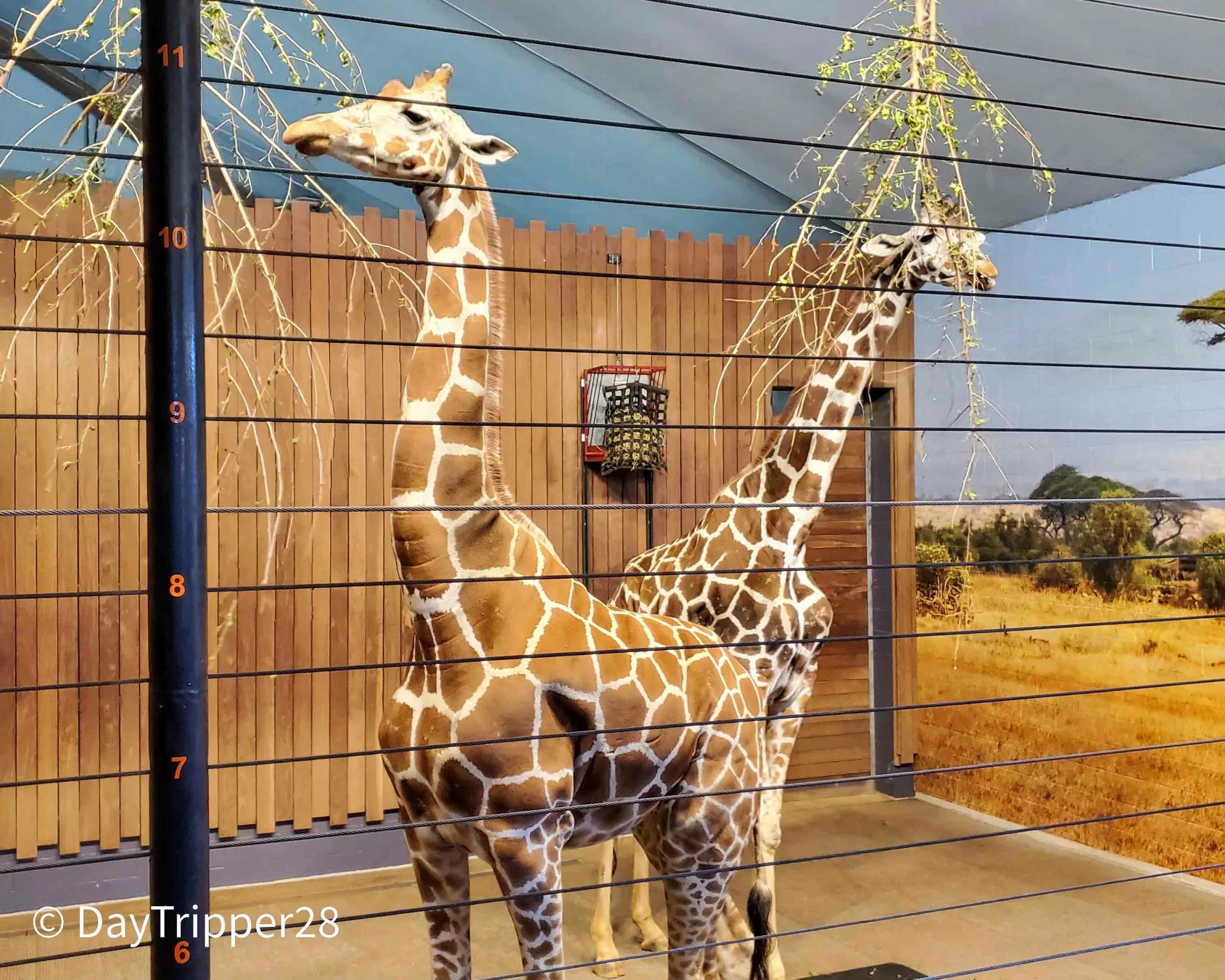 The Best Zoo's and Aquariums in Minnesota 2023