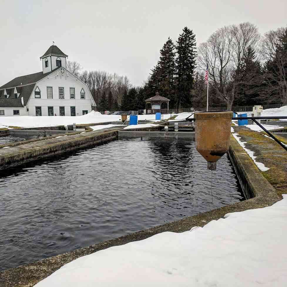 Explore Caledonia Day Trips Around Rochester, NY