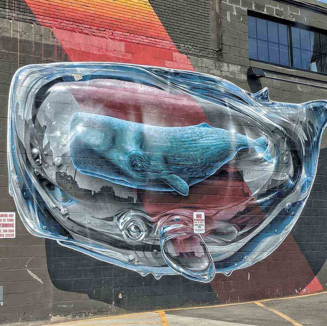 Street Art Exploring Rochester's Murals & Graffiti Day Trips Around Rochester, NY