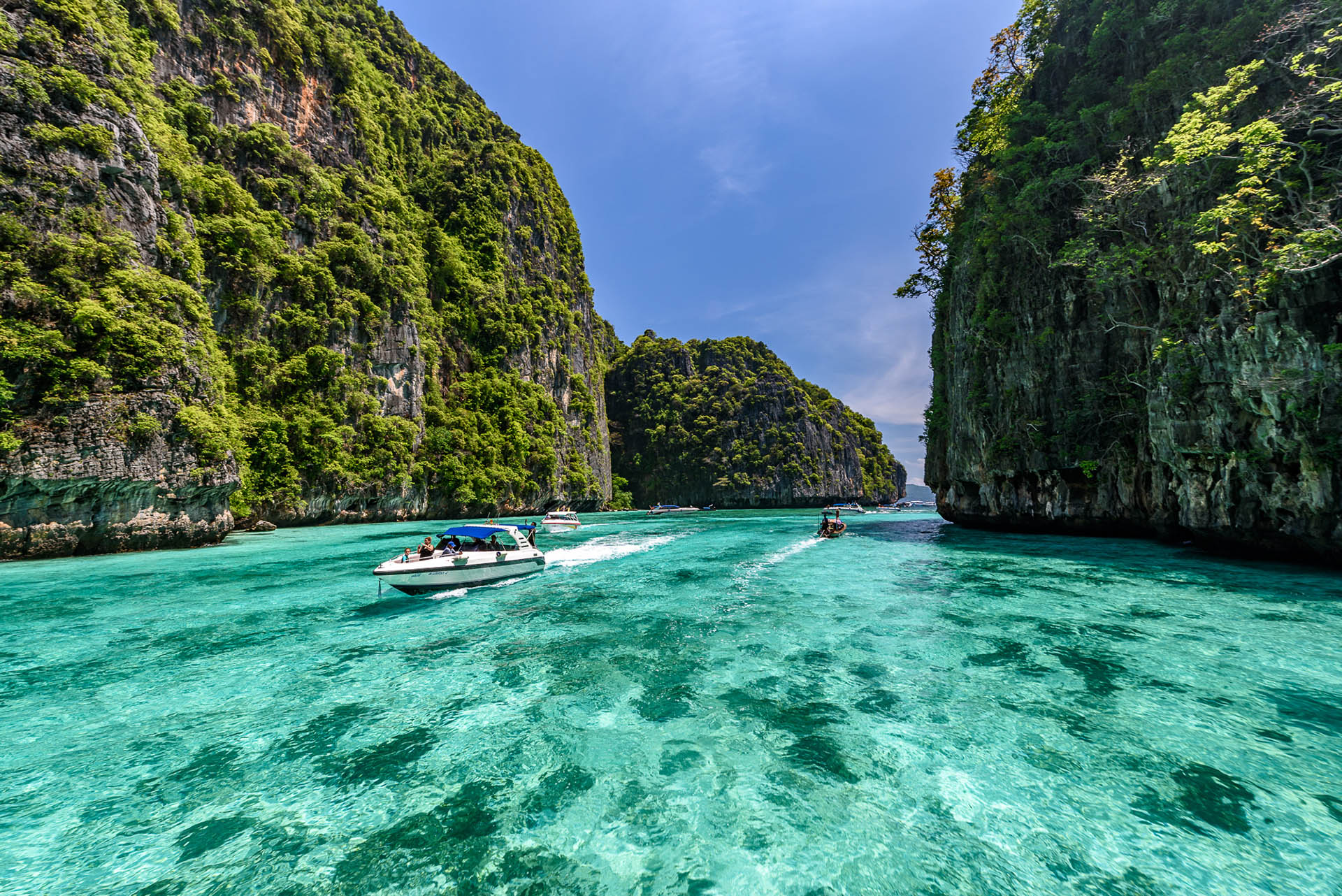 Day trip to Phi Phi island from Phuket (Maya bay, Bamboo island and