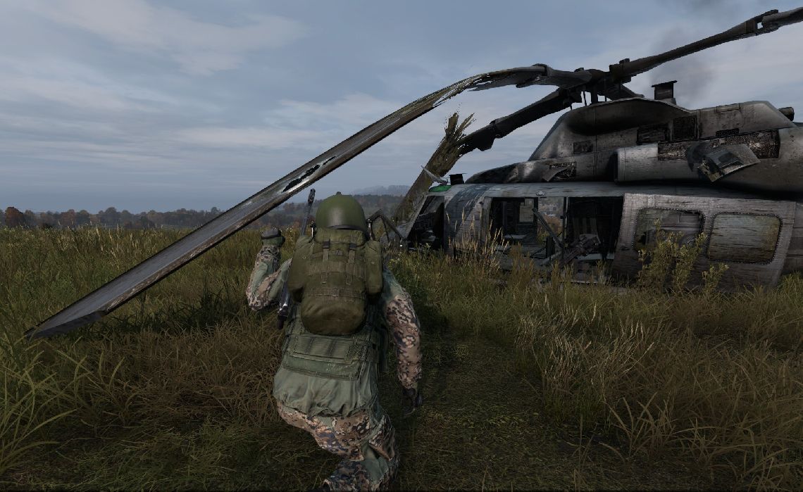 DayZ
