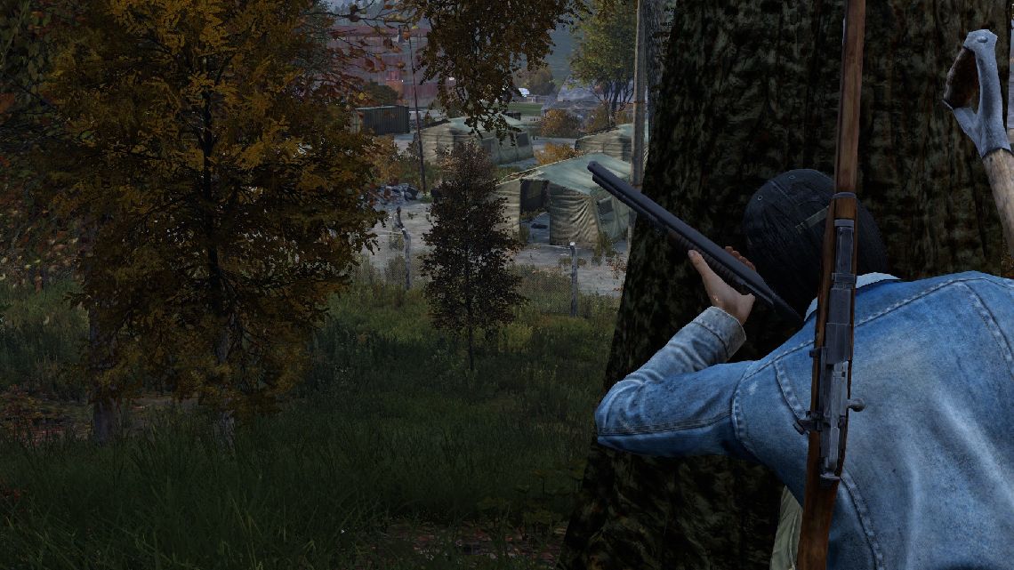 DayZ