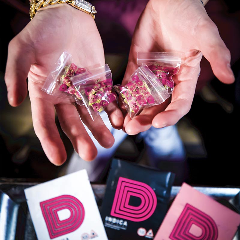 Holyoke Dazed Cannabis Dispensary,