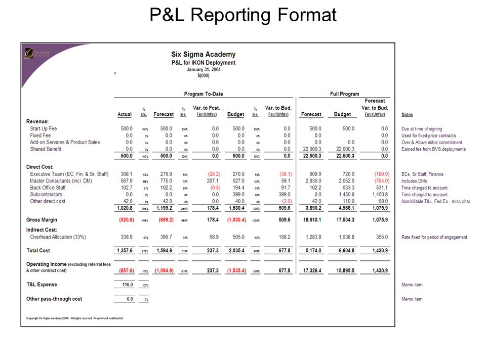 Profit And Loss Statement Template Excel 2007 1 —