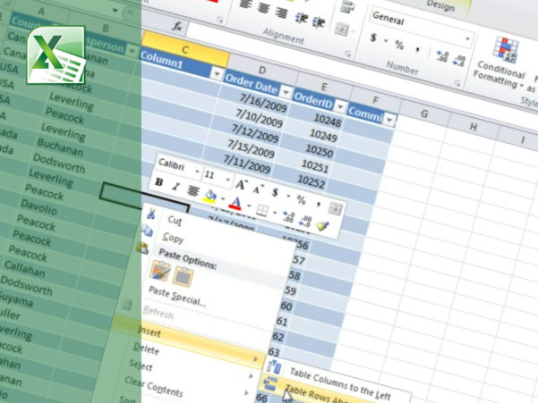 How to List Microsoft Office Skills on a Resume Indeed.com
