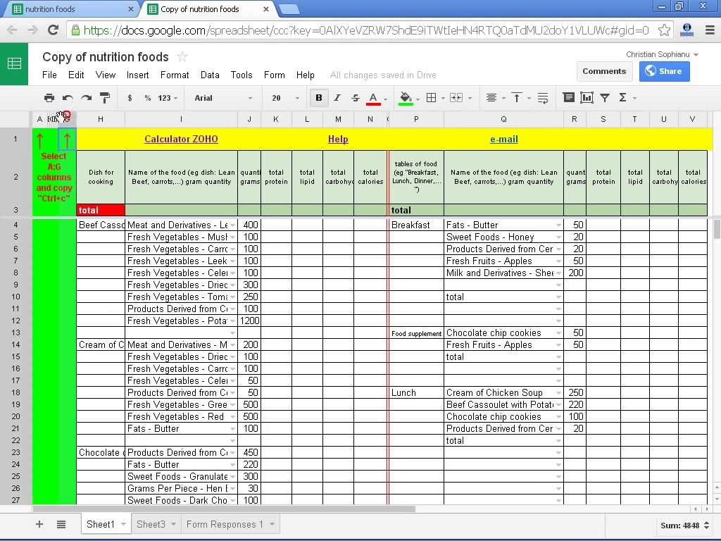 Calorie Counter Excel Spreadsheet Free Download Payment Spreadshee