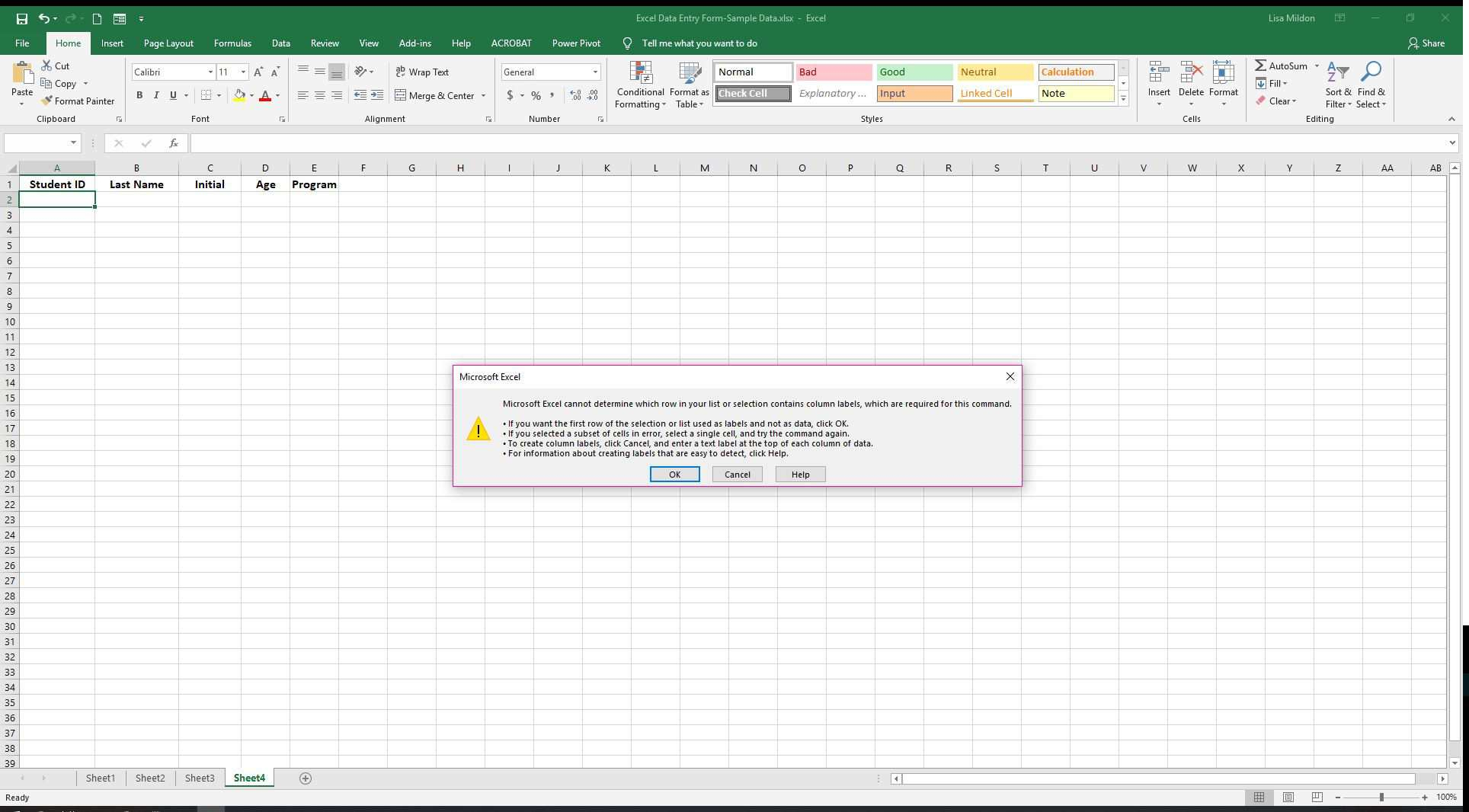 Create A Form In Excel To Populate A Spreadsheet throughout Excel Data