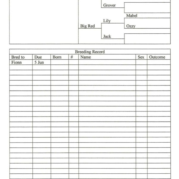 EXCEL TEMPLATES Animal Health Record Template