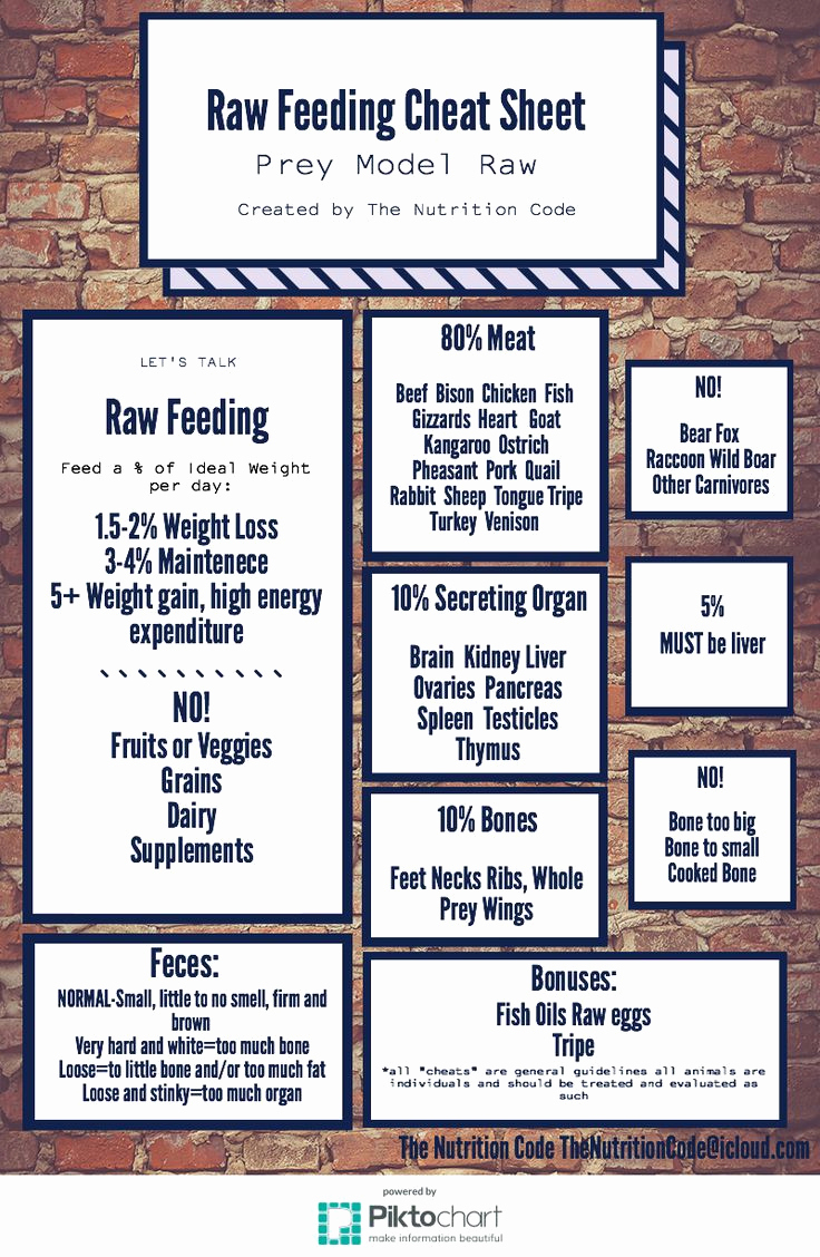 Raw Feeding Spreadsheet —