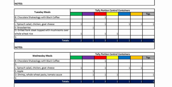 Zone Diet Spreadsheet Payment Spreadshee zone diet spreadsheet. zone