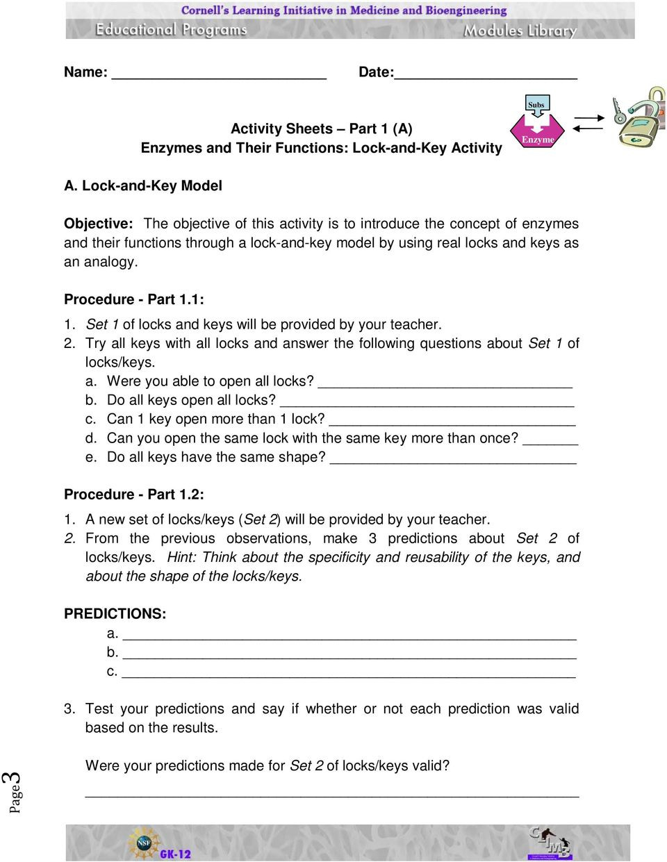 Activity Sheets Enzymes And Their Functions Pdf — db-excel.com