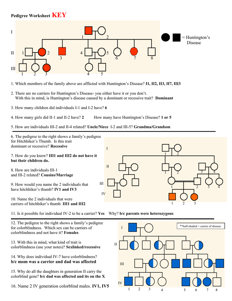 Pedigree Worksheet Biology —