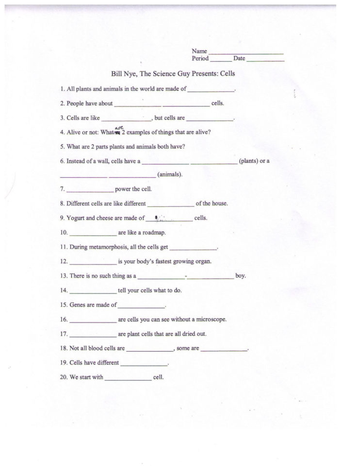 Bill Nye Plants Worksheet Answer Key — db-excel.com
