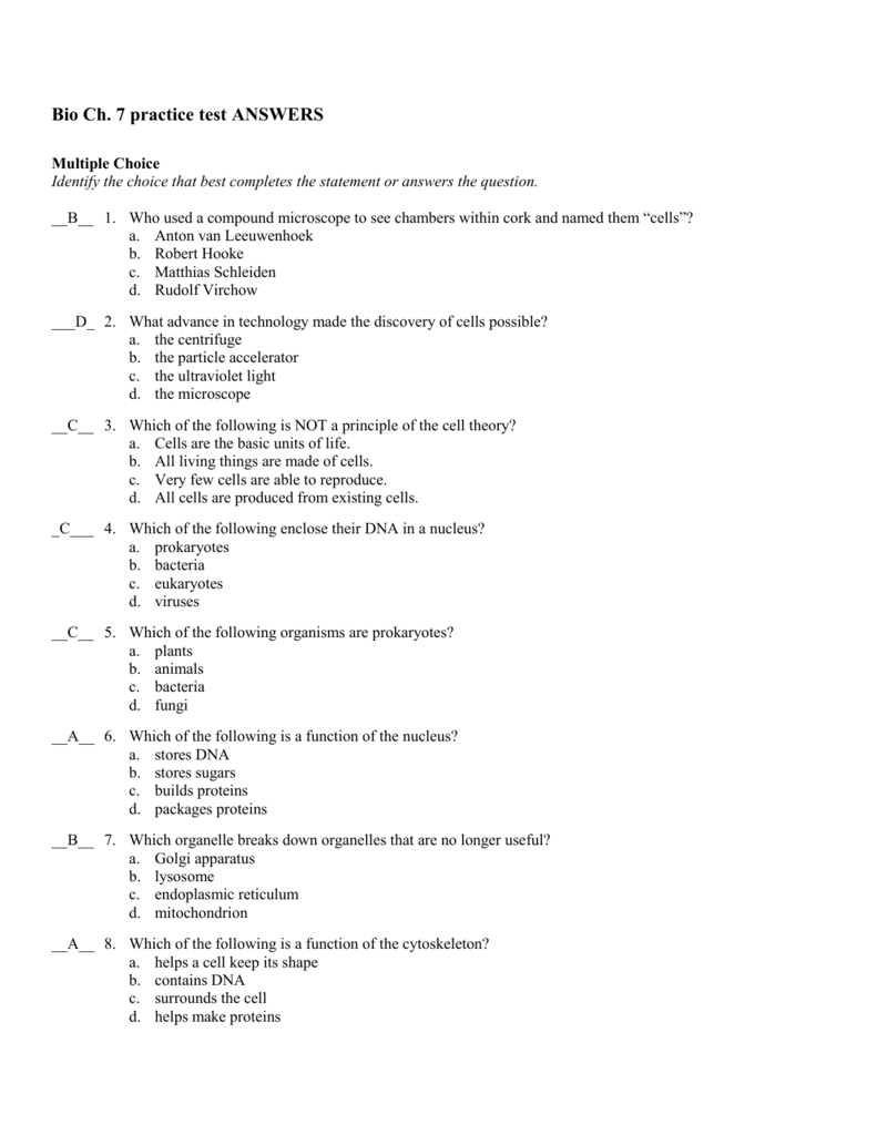 Chapter 7 Cell Structure And Function Worksheet Answers —