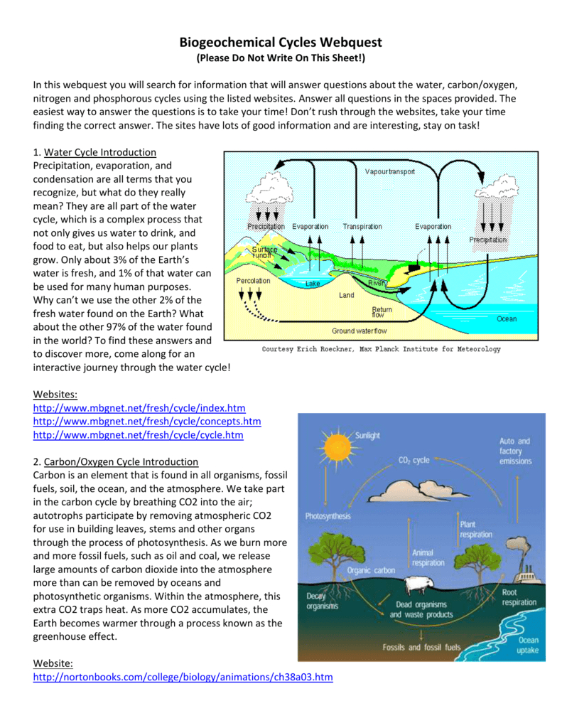 Biogeochemical Cycles Webquest —
