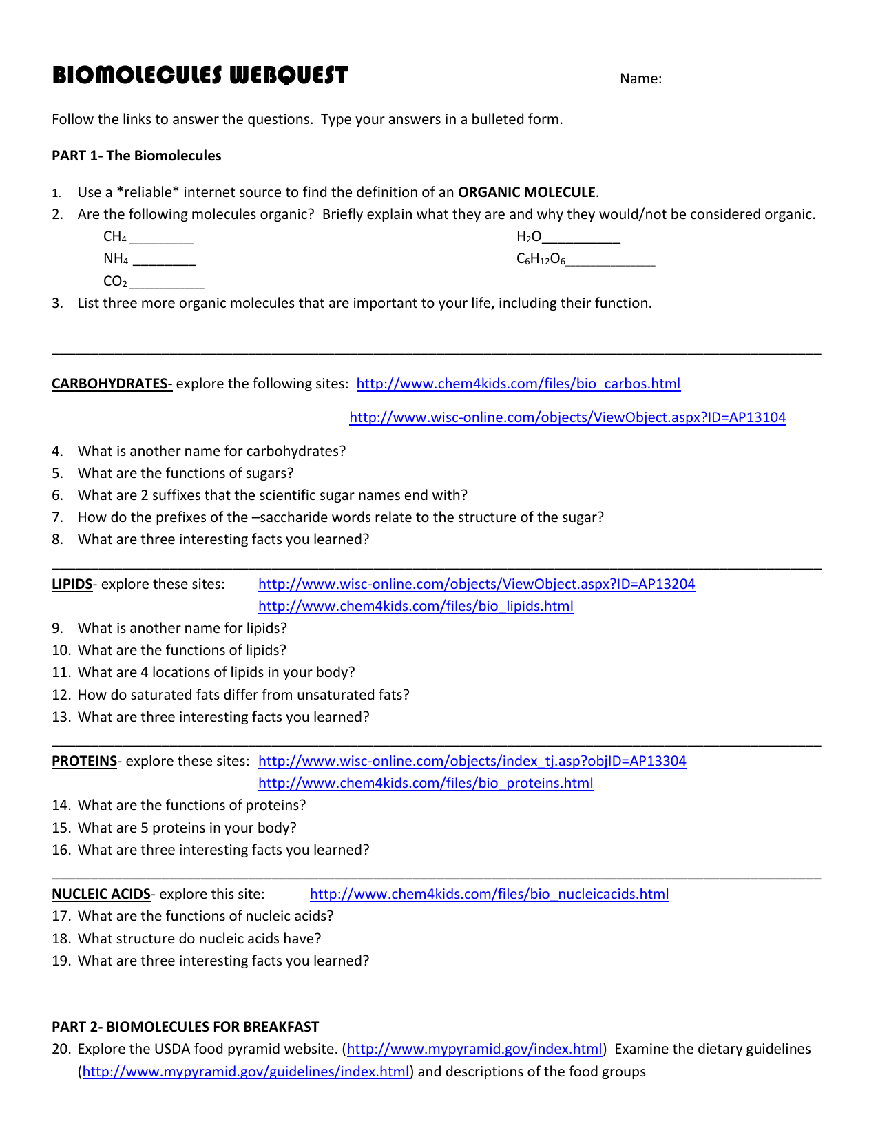 Biomolecules Worksheet Answer Key — db-excel.com