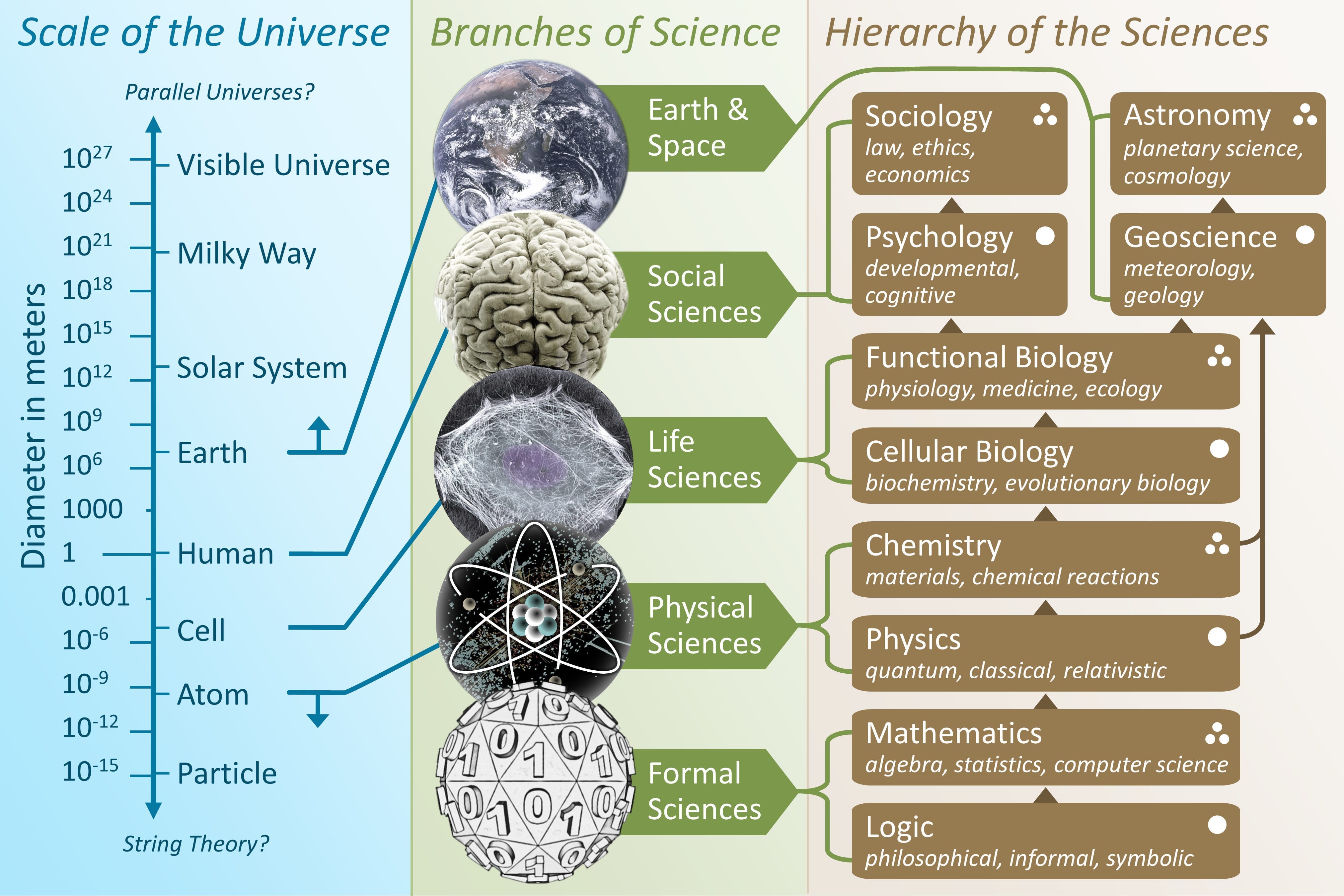 Branches Of Science Wikipedia —