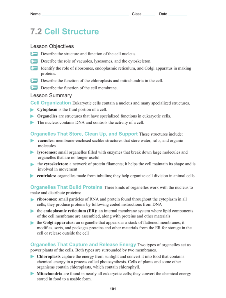 Cellular Structure Worksheet — db-excel.com